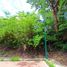 Land for sale in Jose Azueta, Guerrero, Jose Azueta