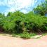  Land for sale in Jose Azueta, Guerrero, Jose Azueta