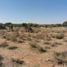  Terreno (Parcela) en venta en Ezequiel Montes, Querétaro, Ezequiel Montes