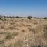  Terreno (Parcela) en venta en Ezequiel Montes, Querétaro, Ezequiel Montes
