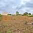  Land for sale in Lebrija, Santander, Lebrija