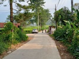  Terrain for sale in Cilember Waterfall, Cisarua, Cisarua