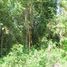  Terreno (Parcela) en venta en Cebu City, Central Visayas, Cebu City