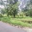  Terreno (Parcela) en venta en Ngaglik, Yogyakarta, Ngaglik, Sleman, Yogyakarta