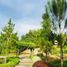  Terreno (Parcela) en venta en Cebu City, Central Visayas, Cebu City, Cebu