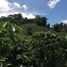  Land for sale in Monte Lirio, Chiriqui, Monte Lirio, Renacimiento
