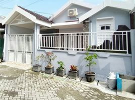 3 Schlafzimmer Haus zu verkaufen in Benowo, East Jawa, Benowo