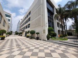 0 平米 Office for rent in 墨西哥, Cuautitlan Izcalli, Mexico, 墨西哥