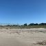  Land for sale in Culiacan, Sinaloa, Culiacan
