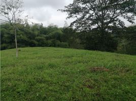  Land for sale in Pereira, Risaralda, Pereira