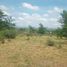  Land for sale in Punilla, Cordoba, Punilla