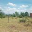  Land for sale in Punilla, Cordoba, Punilla