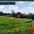  Land for sale in Selemadeg, Tabanan, Selemadeg