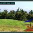  Land for sale in Selemadeg, Tabanan, Selemadeg