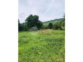  Terreno (Parcela) en venta en Manizales, Caldas, Manizales