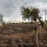  Grundstück zu verkaufen in Ixtlahuacan De Los Membrillos, Jalisco, Ixtlahuacan De Los Membrillos