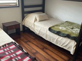 4 Bedroom Apartment for rent in Universidad de la Frontera Campus Pucón, Pucon, Pucon
