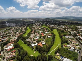  Terreno (Parcela) en venta en Irapuato, Guanajuato, Irapuato