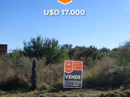  Land for sale in Junin, San Luis, Junin