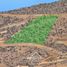  Land for sale in Chile, Coquimbo, Elqui, Coquimbo, Chile