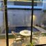 3 Bedroom Villa for rent in Cancun, Quintana Roo, Cancun
