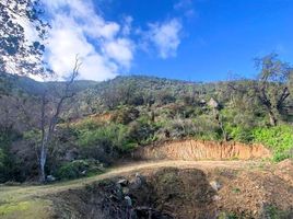  Land for sale in Chile, Curacavi, Melipilla, Santiago, Chile