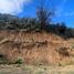  Land for sale in Chile, Curacavi, Melipilla, Santiago, Chile