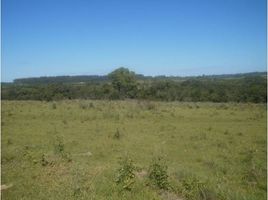  Land for sale in Misiones, Apostoles, Misiones