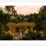 1 Bedroom Apartment for sale in Cozumel, Quintana Roo, Cozumel