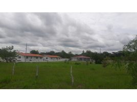  Terreno (Parcela) en venta en Coclé, Río Hato, Antón, Coclé