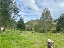  Terreno (Parcela) en venta en Medellín, Antioquia, Medellín, Antioquia, Colombia