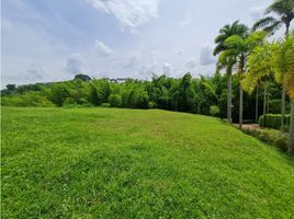  Land for sale in Caldas, Manizales, Caldas