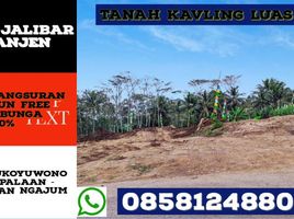  Land for sale in Ngajum, Malang Regency, Ngajum