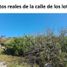  Grundstück zu verkaufen in Chicxulub Pueblo, Yucatan, Chicxulub Pueblo