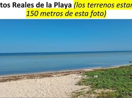  Grundstück zu verkaufen in Chicxulub Pueblo, Yucatan, Chicxulub Pueblo