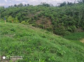  Terreno (Parcela) en venta en Alcala, Valle Del Cauca, Alcala