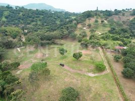 Studio Villa for sale in Cundinamarca, Anapoima, Cundinamarca