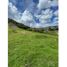  Terreno (Parcela) en venta en La Ceja, Antioquia, La Ceja, Antioquia