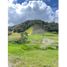  Terreno (Parcela) en venta en La Ceja, Antioquia, La Ceja, Antioquia
