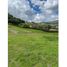  Terreno (Parcela) en venta en La Ceja, Antioquia, La Ceja, Antioquia