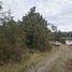  Terreno (Parcela) en venta en Chile, Queilen, Chiloé, Los Lagos, Chile