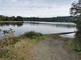  Terreno (Parcela) en venta en Chile, Queilen, Chiloé, Los Lagos, Chile