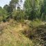  Terreno (Parcela) en venta en Chile, Queilen, Chiloé, Los Lagos, Chile