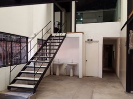구스타보 마드로, 멕시코 시티PropertyTypeNameBedroom, 구스타보 마드로