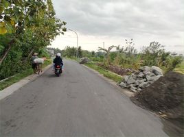  Land for sale in Bantul, Yogyakarta, Sedayu, Bantul