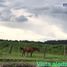  Land for sale in Mezquital, Durango, Mezquital
