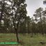  Land for sale in Mezquital, Durango, Mezquital