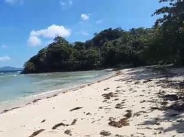  Land for sale in Linapacan, Palawan, Linapacan