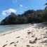  Land for sale in Linapacan, Mimaropa, Linapacan