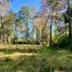  Terreno (Parcela) en venta en Chile, Villarrica, Cautín, Araucanía, Chile